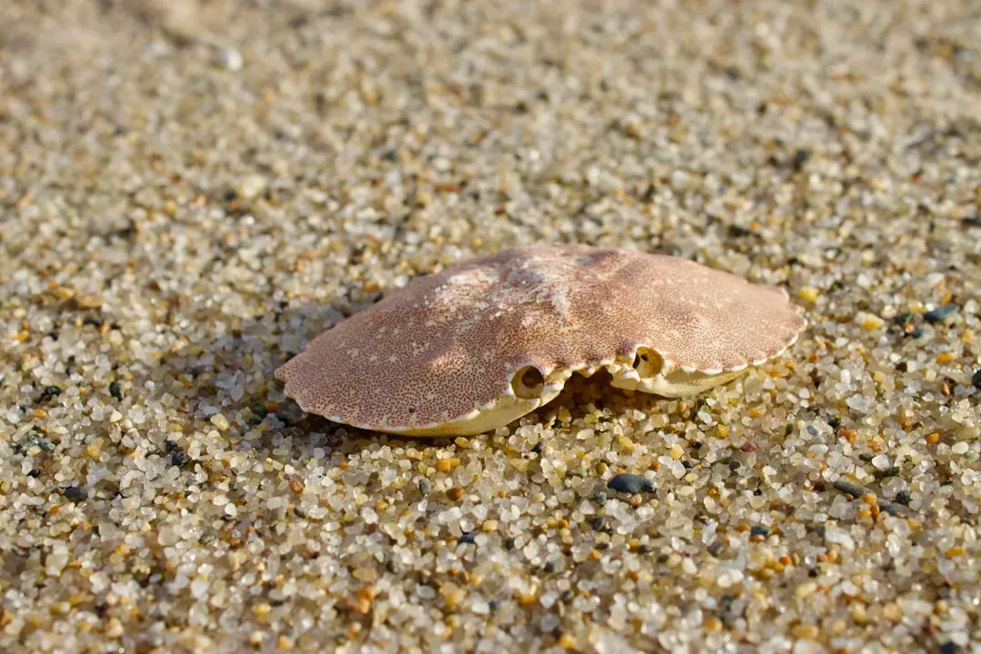 A Species Under Threat in the Modern World (Image Credits: Unsplash)