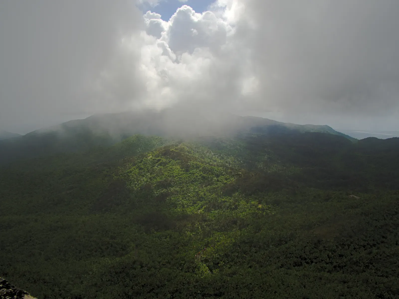 El Yunque: Puerto Rico's Tropical Treasure (Image Credits: Wikimedia)