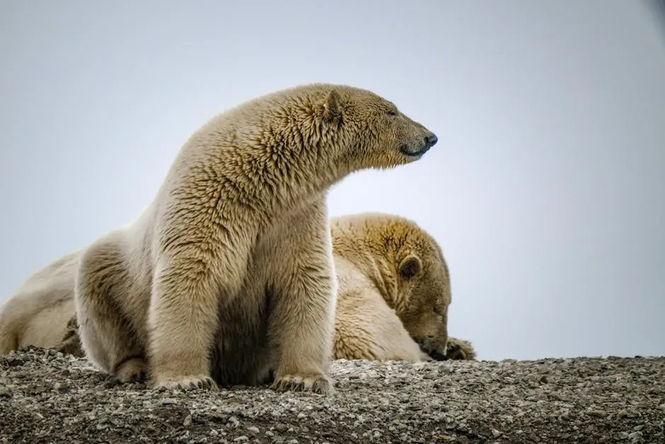 Denning, Motherhood, and Survival Against the Odds (Image Credits: Pexels)