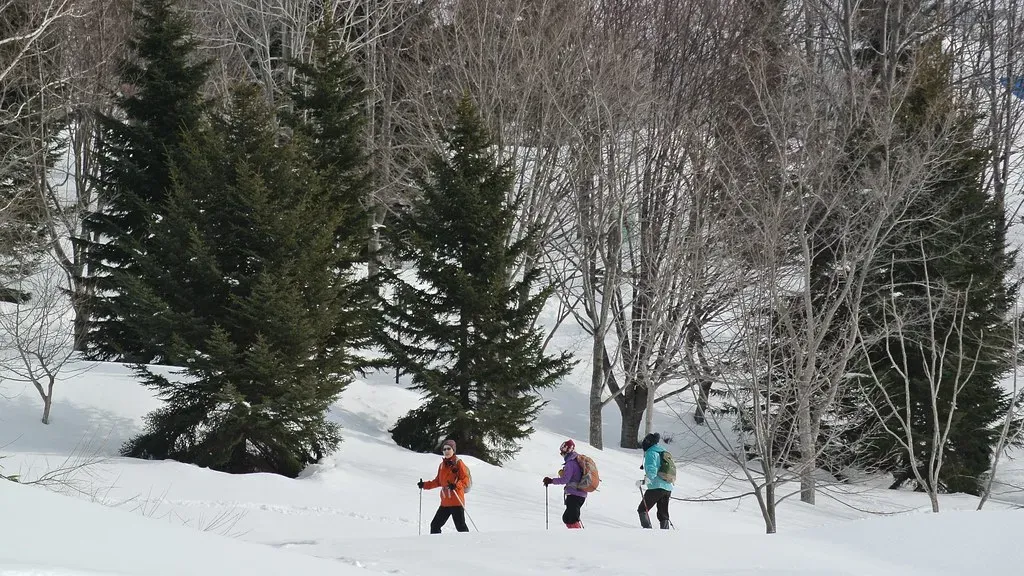 Apex Park Enchanted Forest Loop near Golden, Colorado (Image Credits: Flickr)