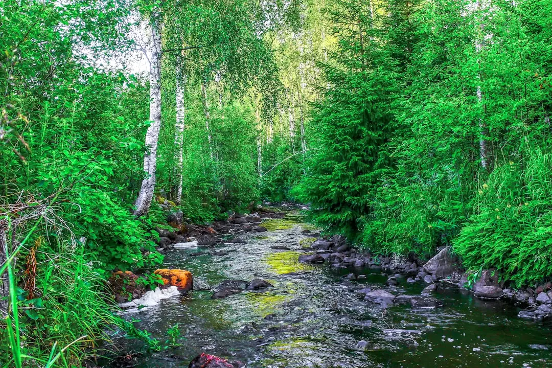 #7 - River Birch (Betula nigra): The Water-Edge Workhorse (Image Credits: Unsplash)