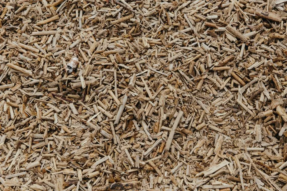 13. Treating Mulch as Mandatory, Not Decoration (Image Credits: Pexels)
