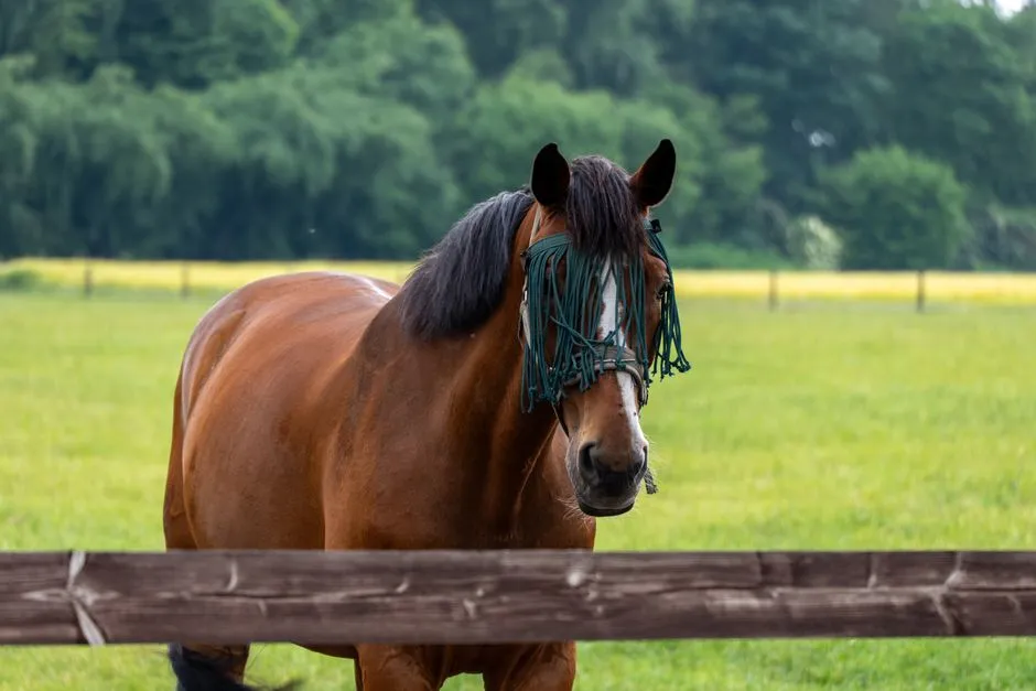 A Vet's Honest Wish for Every New Horse Owner (Image Credits: Pexels)