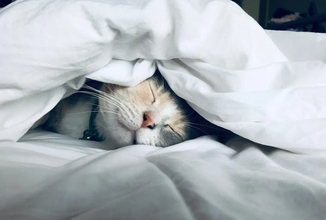 #6 - Sleeping 20 Hours a Day (Or More) (Image Credits: Unsplash)