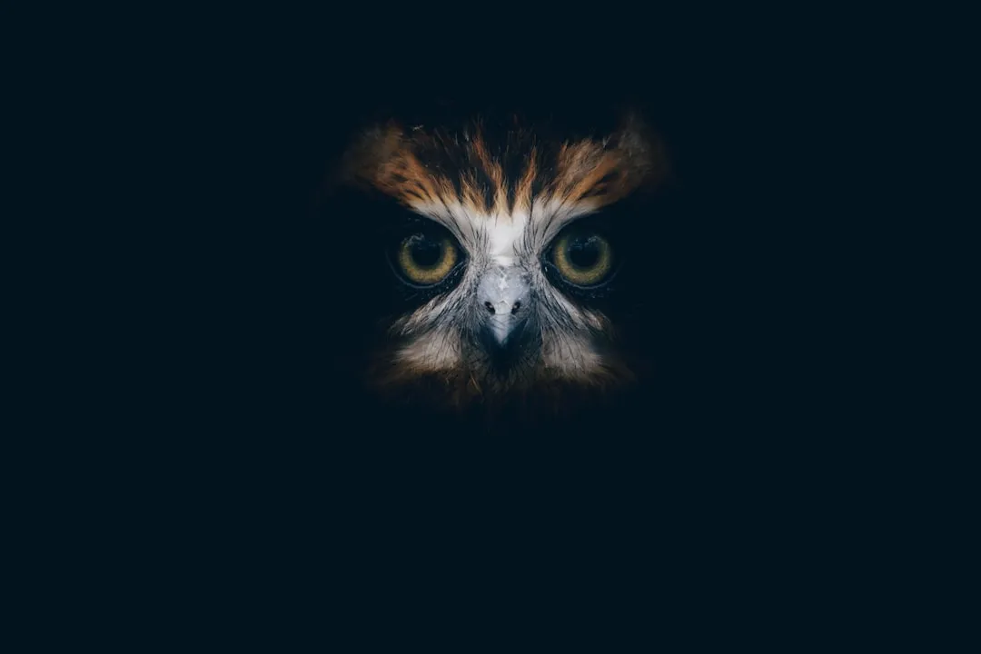 #5 Aquarius: The Night Owl Observer (Image Credits: Unsplash)