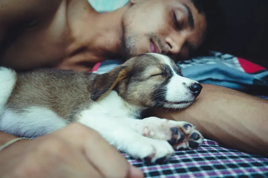 #10 - They Sleep With Their Back Pressed to Yours (Image Credits: Pexels)