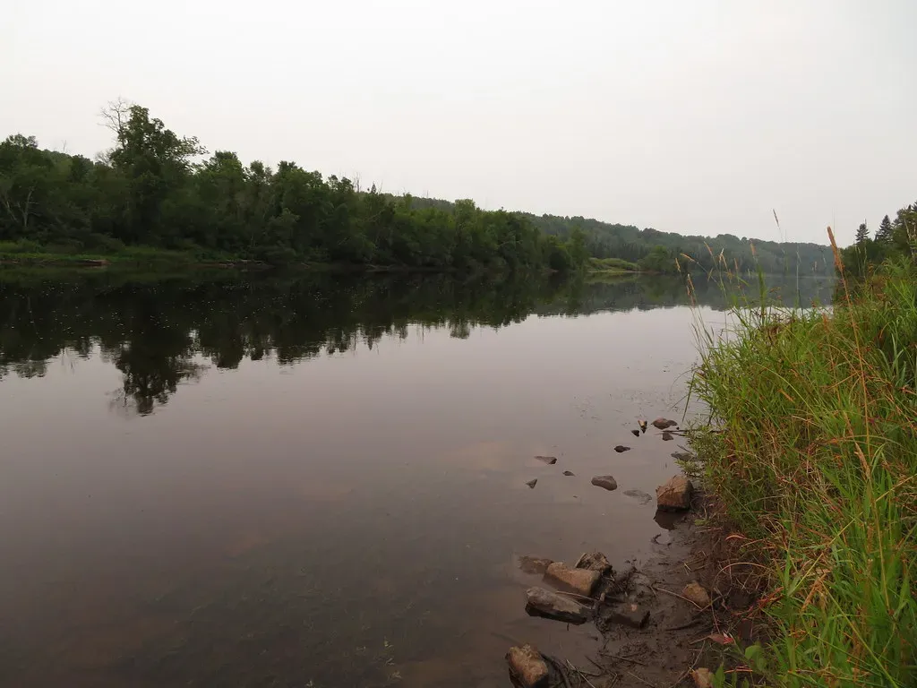 7. Thunder Bay River, Michigan: A Quiet Midwest Gem for Walleye (Ken Lund, Flickr, CC BY-SA 2.0)