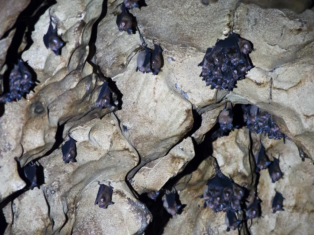 Influence on Evolutionary Biology (Mike Prince, Flickr, CC BY 2.0)