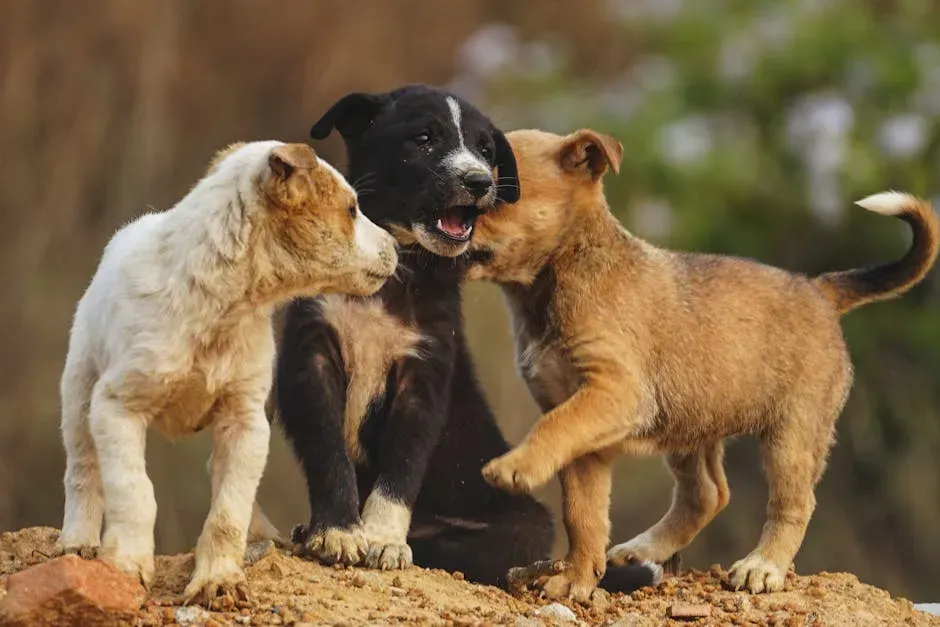6. Failing to Socialize Pets Early Enough (Image Credits: Pexels)