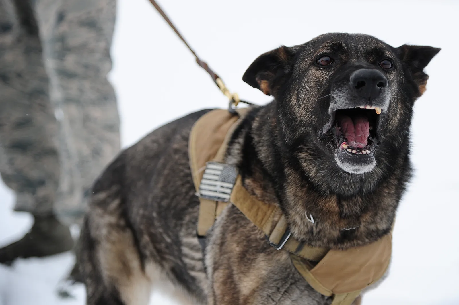 #2 - Subtle Mood Swings or "Personality Changes" (By Senior Airman LAUSANNE KINDER, Public domain)