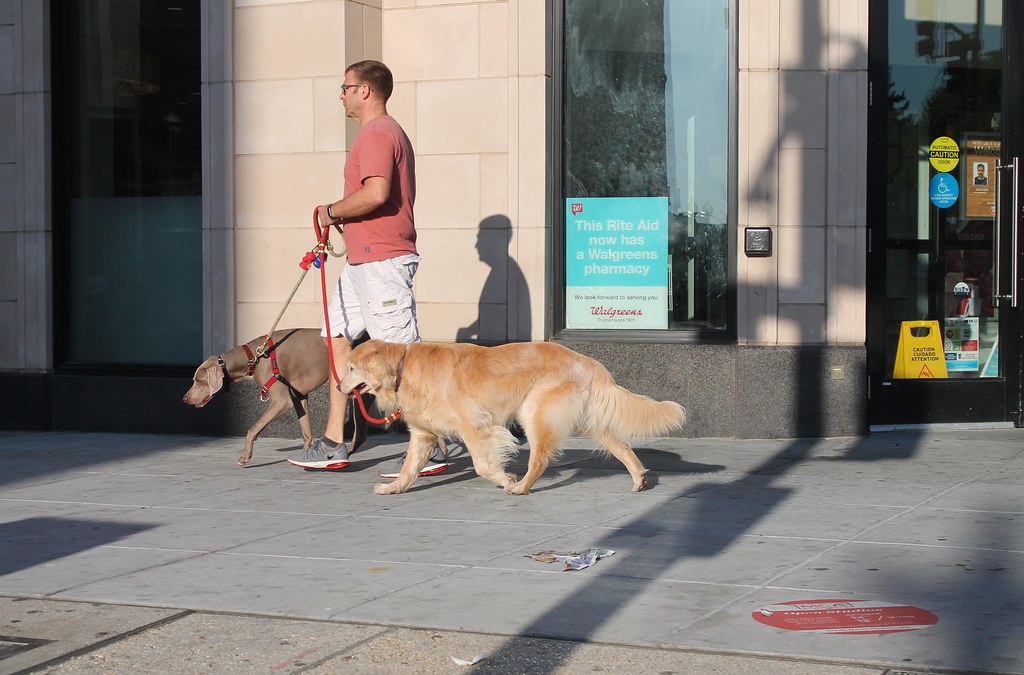 Instant Social Connections in Every Neighborhood (Image Credits: Flickr)