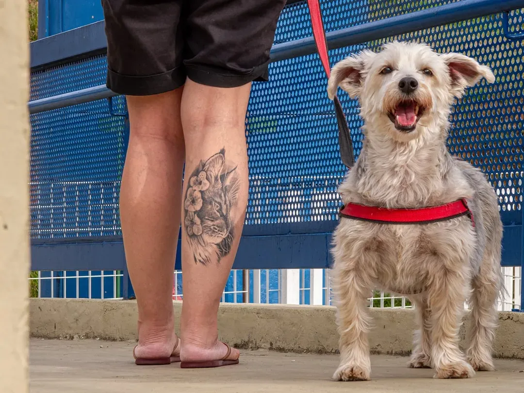 12. Getting a Pet on Impulse Without Proper Research (Image Credits: Unsplash)