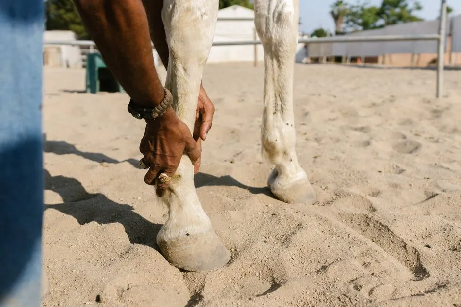 #17 - Missouri Fox Trotters Inherit the Same Front-Foot Fight (Image Credits: Pexels)