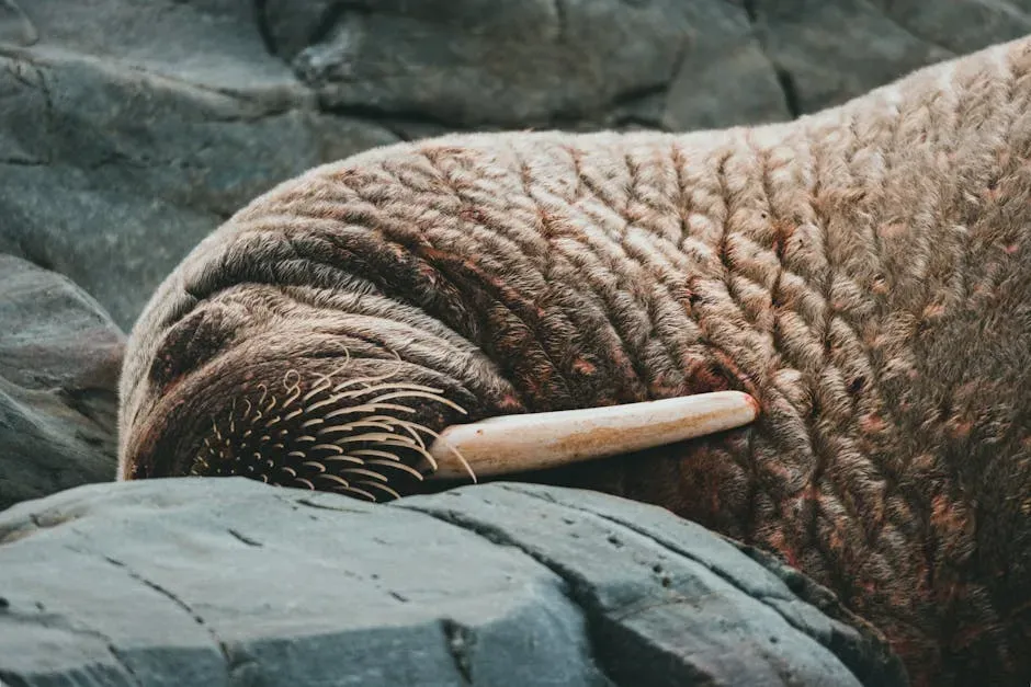 #8 Scorpio (October 23 &ndash; November 21) - The Narwhal (Image Credits: Pexels)