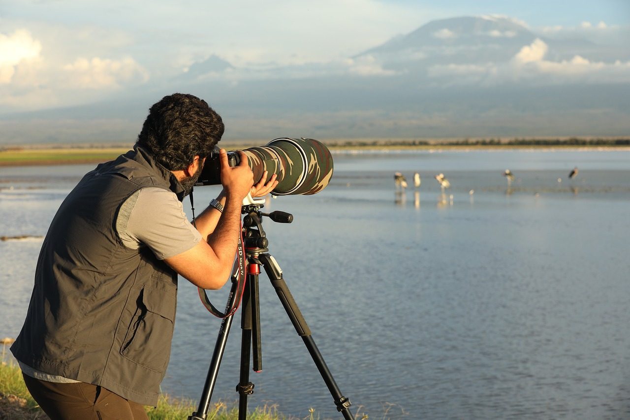 Respect Wildlife Ethics and Safety (Image Credits: Pixabay)