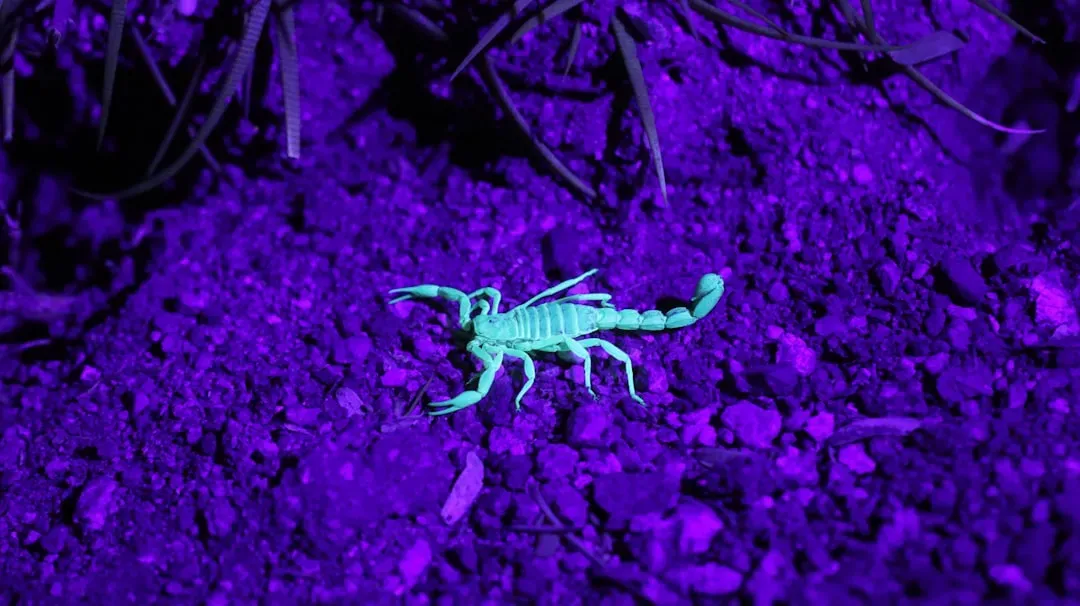 The Tiniest Ones Are Actually the Most Dangerous (Image Credits: Unsplash)