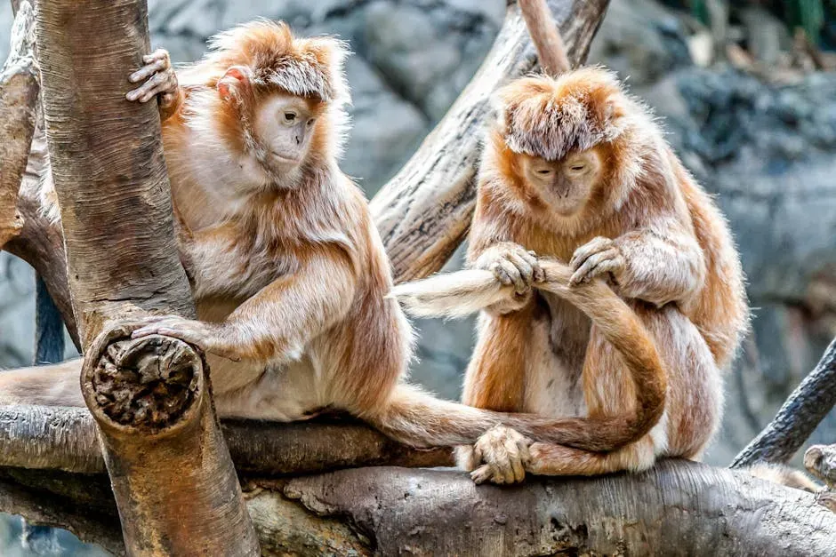 The Darker Side of SAI: Aging, Disease, and the Cost of Chaos (Image Credits: Pexels)
