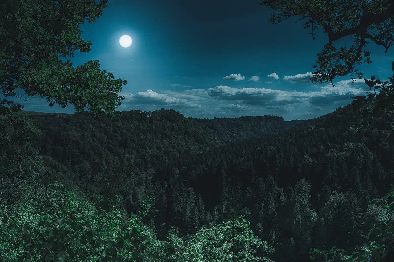 #14. The May 16 Taurus New Moon: Plant Something Real (Image Credits: Pixabay)