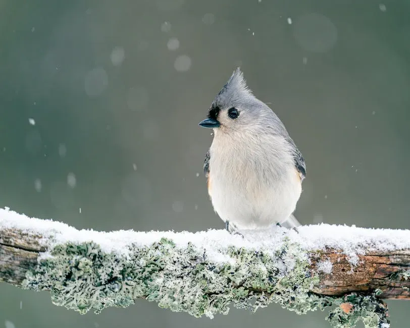 #1: They Pull Hair from Living Animals to Line Their Nests (Image Credits: Pexels)