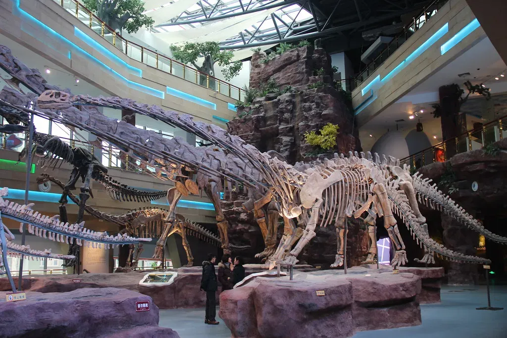 Patagotitan: The Giant That Barely Fit in Museums (Image Credits: Flickr)