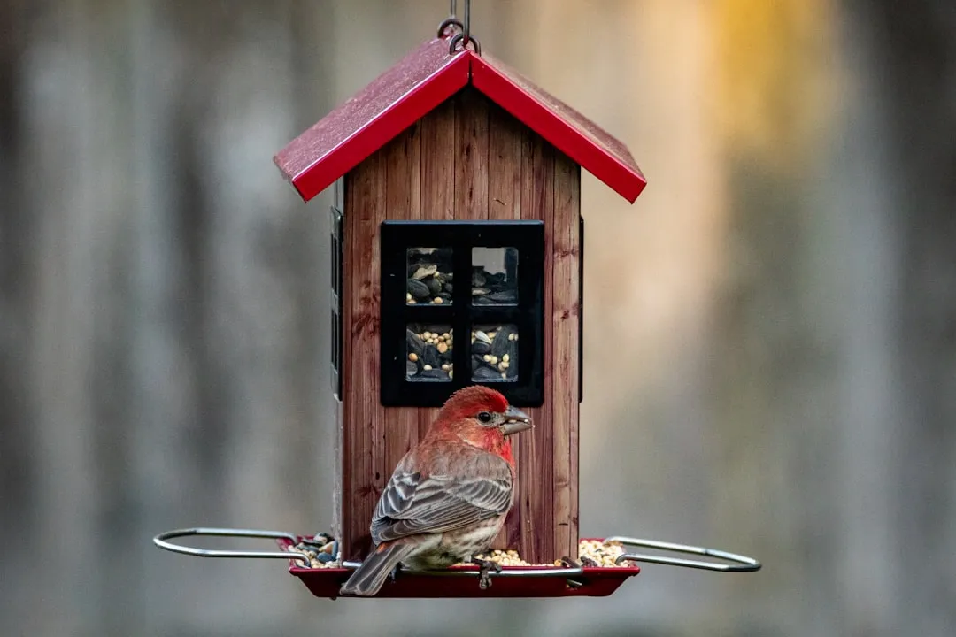 19. Birdfy Smart Feeder: The Feeder That Names Your Visitors (Image Credits: Unsplash)