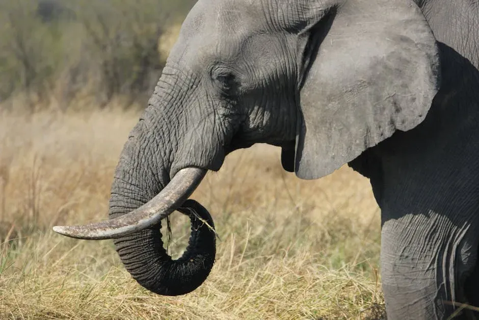 1. African Elephant: The Undisputed Champion (Image Credits: Pexels)
