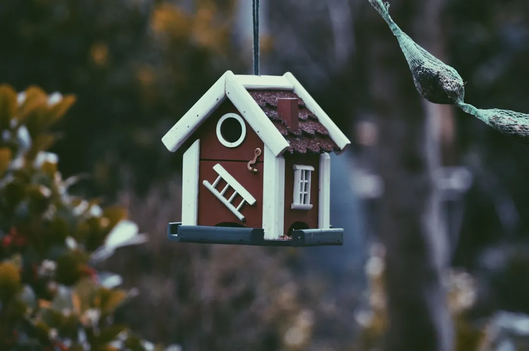 #5 - Set Up Next Spring's Nest Boxes Now, Not in March (Image Credits: Unsplash)