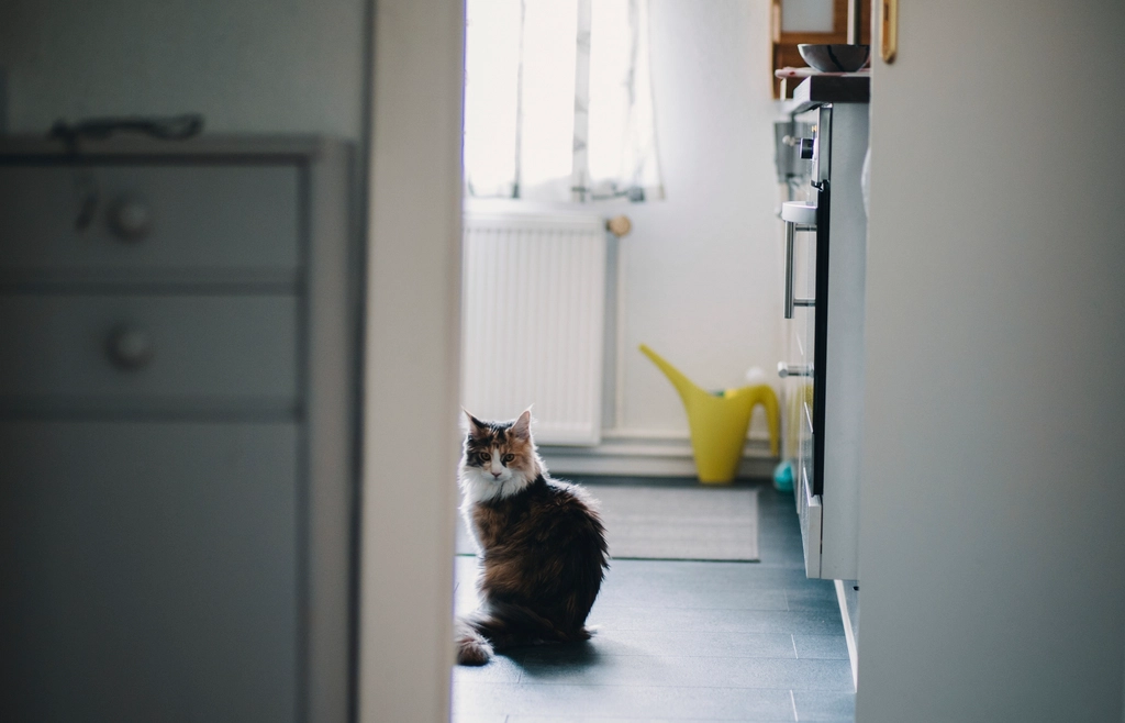 The Bathroom Is a Sensory Playground (Image Credits: Rawpixel)