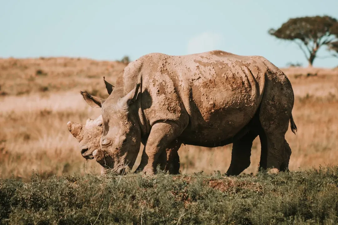 4. Endangered Species Day: A Catalyst for Recovery (Image Credits: Unsplash)