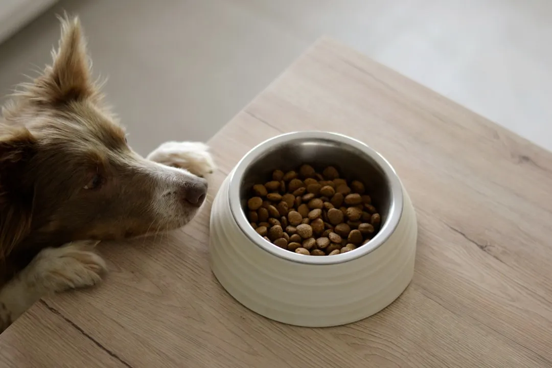 #3 - Their Eating Habits Get Weird, Not Just "Less" (Image Credits: Unsplash)