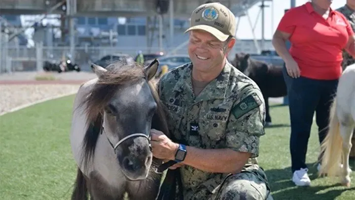 #6: Horses Healing People That Words Cannot Reach (Image Credits: Flickr)