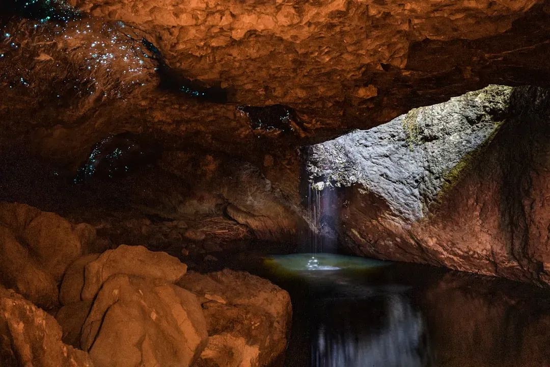 #4. Waitomo Glowworm Caves, New Zealand - A Galaxy Underground (Image Credits: Unsplash)