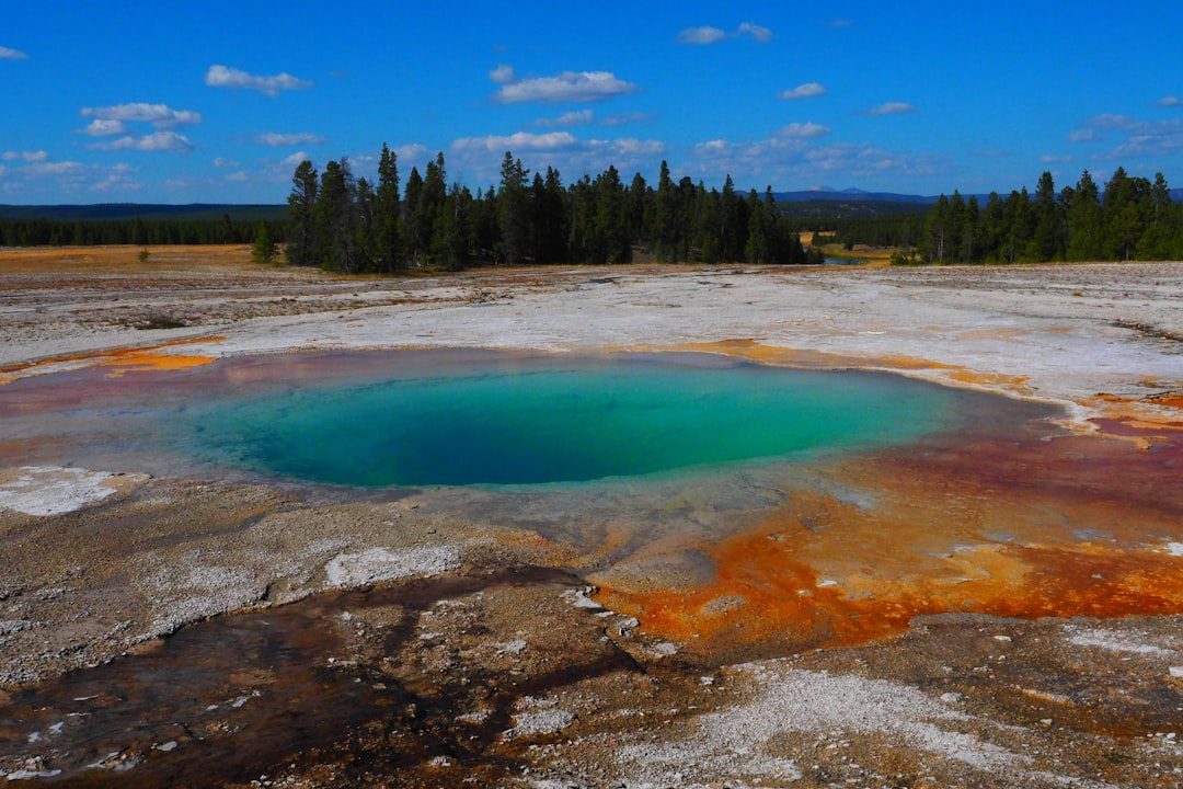 Yellowstone National Park: Nature's Fiery Theater (Image Credits: Unsplash)