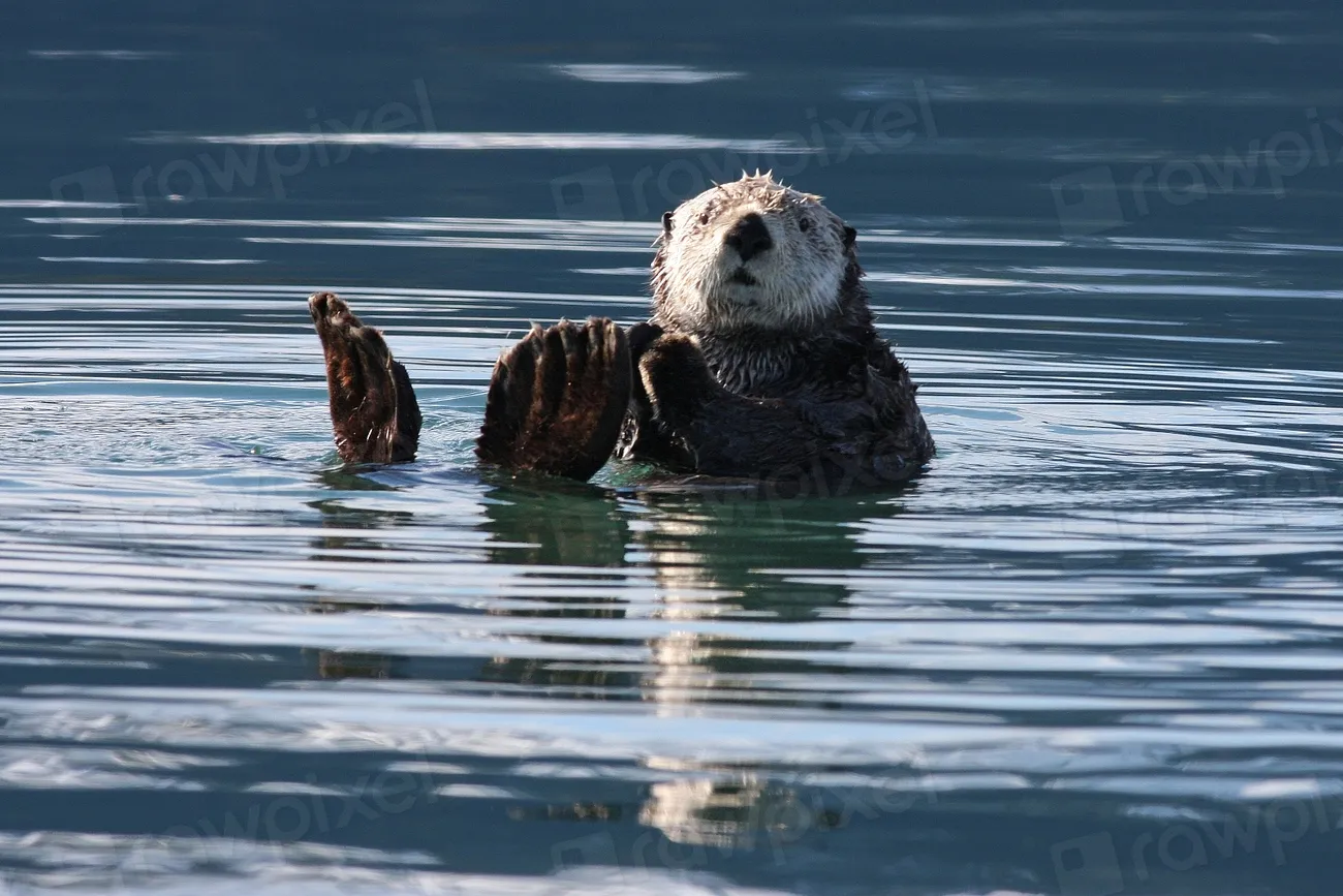 Environmental Impact Awareness: Ecosystem Engineers (Image Credits: Rawpixel)