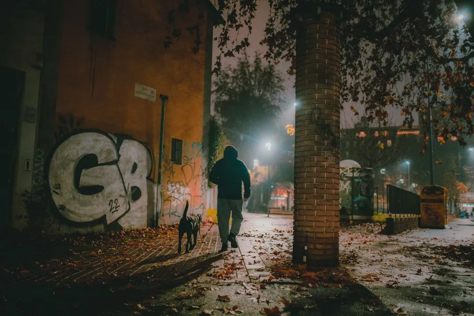 #14 - Diminished Senses Make Dark Walks Way More Stressful (Image Credits: Pexels)