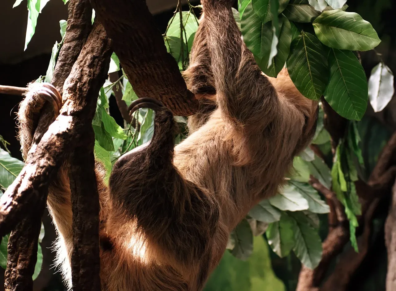 4. Their Fur Grows Upside Down - On Purpose (Image Credits: Pixabay)