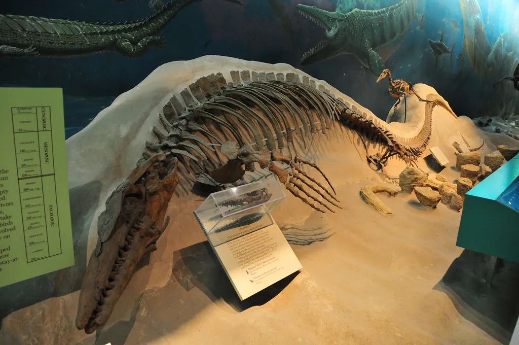 #9 - An Ancient Sea Monster Swam Where Tourists Now Park Their Cars (ArtBrom, Flickr, CC BY-SA 2.0)