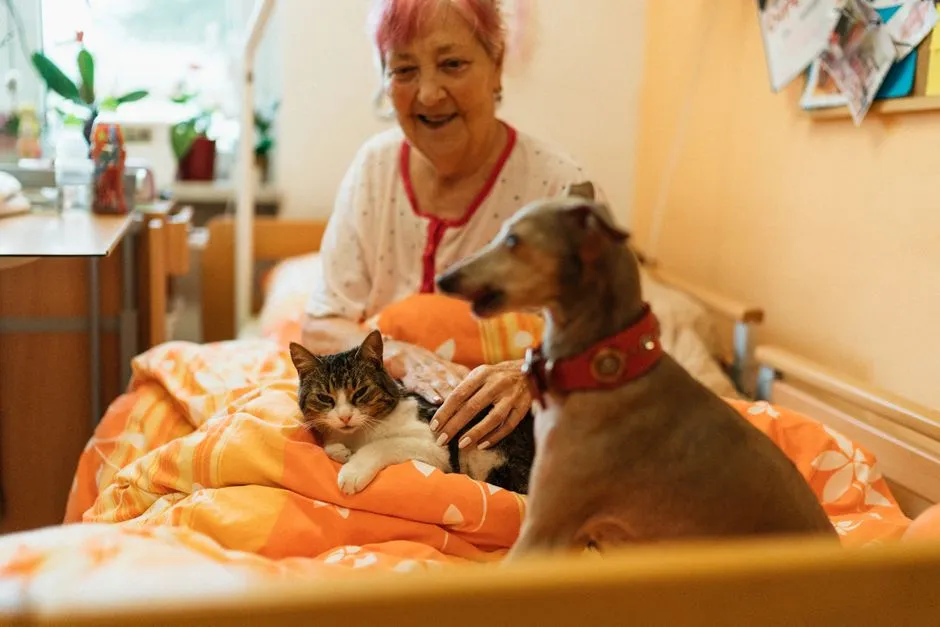 #12 - They Guard Your Recovery Like It's a Full-Time Job (Image Credits: Pexels)