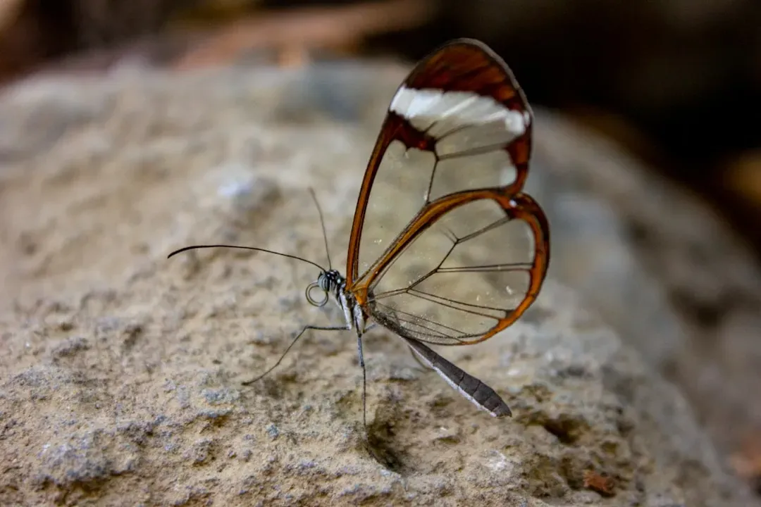 The Rainforest's Evolutionary Laboratory (Image Credits: Unsplash)