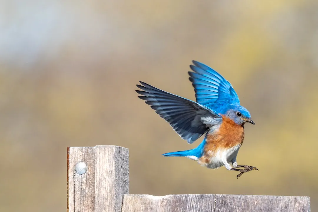 #7 Hovering, Over-Managing, or Constantly Opening the Box (Image Credits: Unsplash)