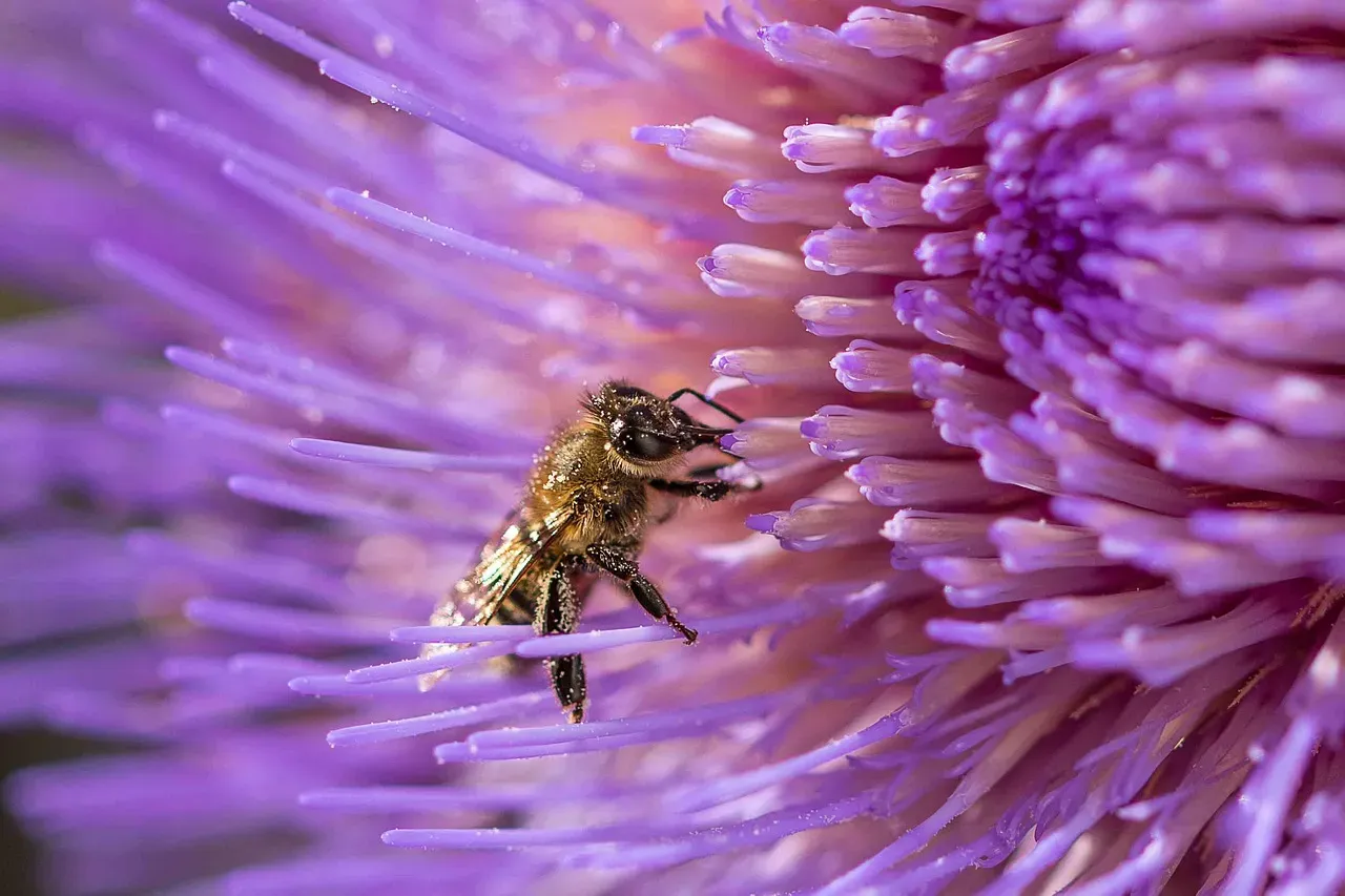 Conclusion: The Garden as a Commitment, Not Just a Hobby (Image Credits: Pixabay)