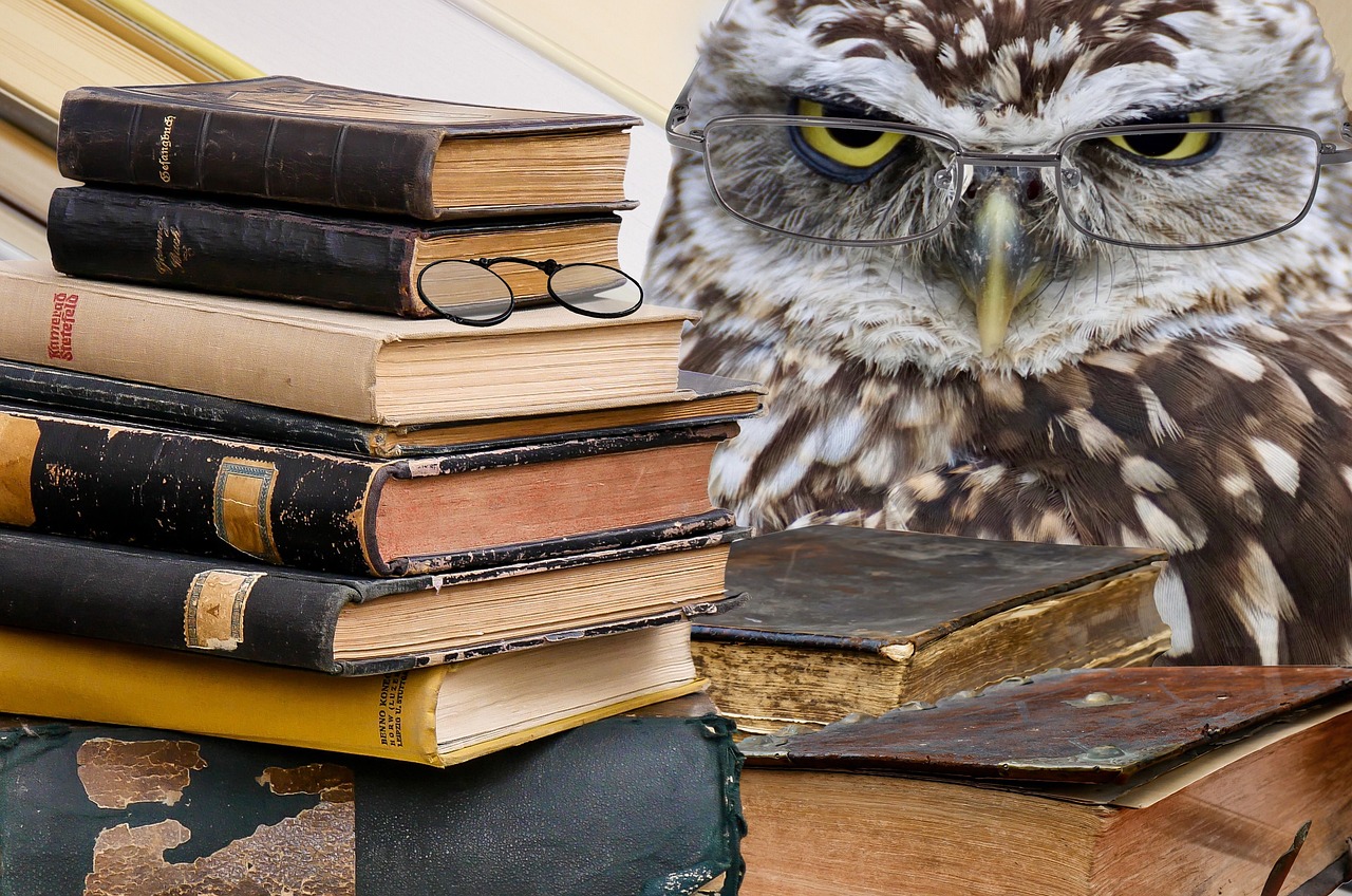 Masters of Specialized Intelligence (Image Credits: Pixabay)