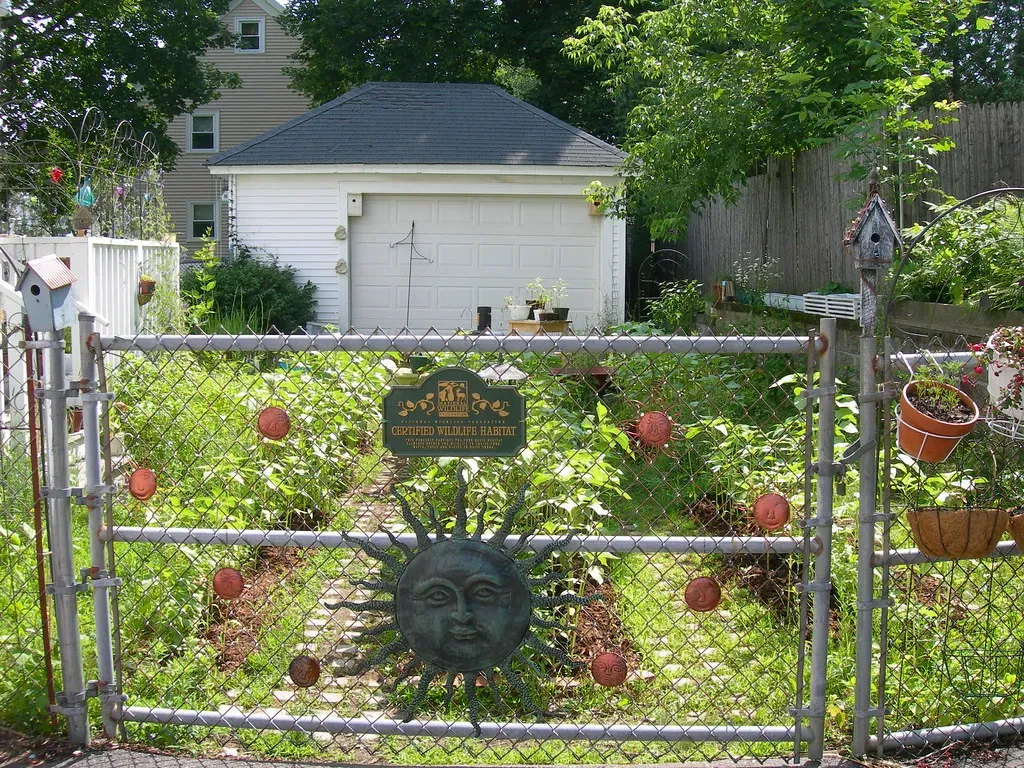 Your Yard as a Living System (lakelou, Flickr, CC BY 2.0)