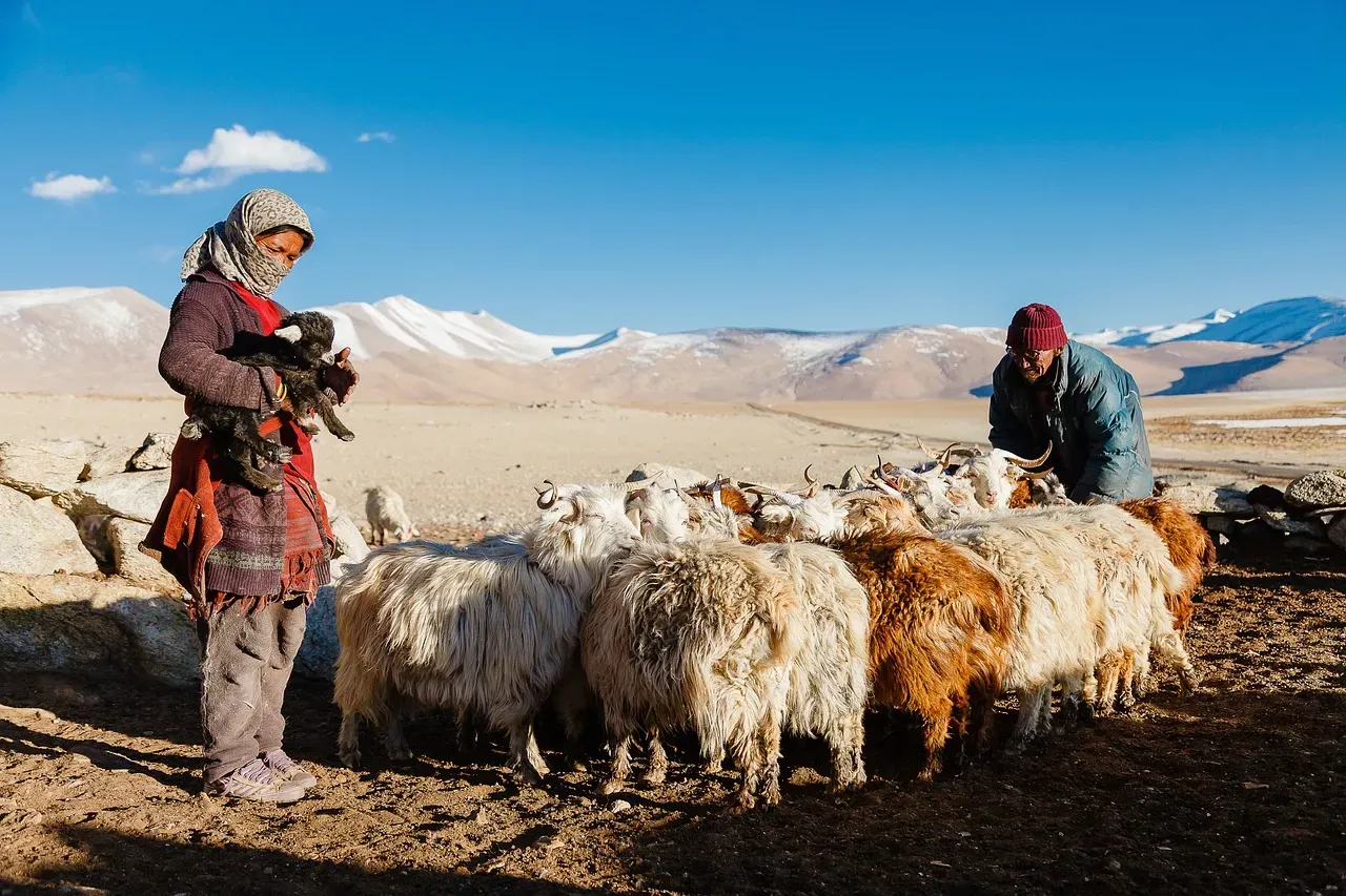 Textile Treasure from the Roof of the World (Image Credits: Pixabay)