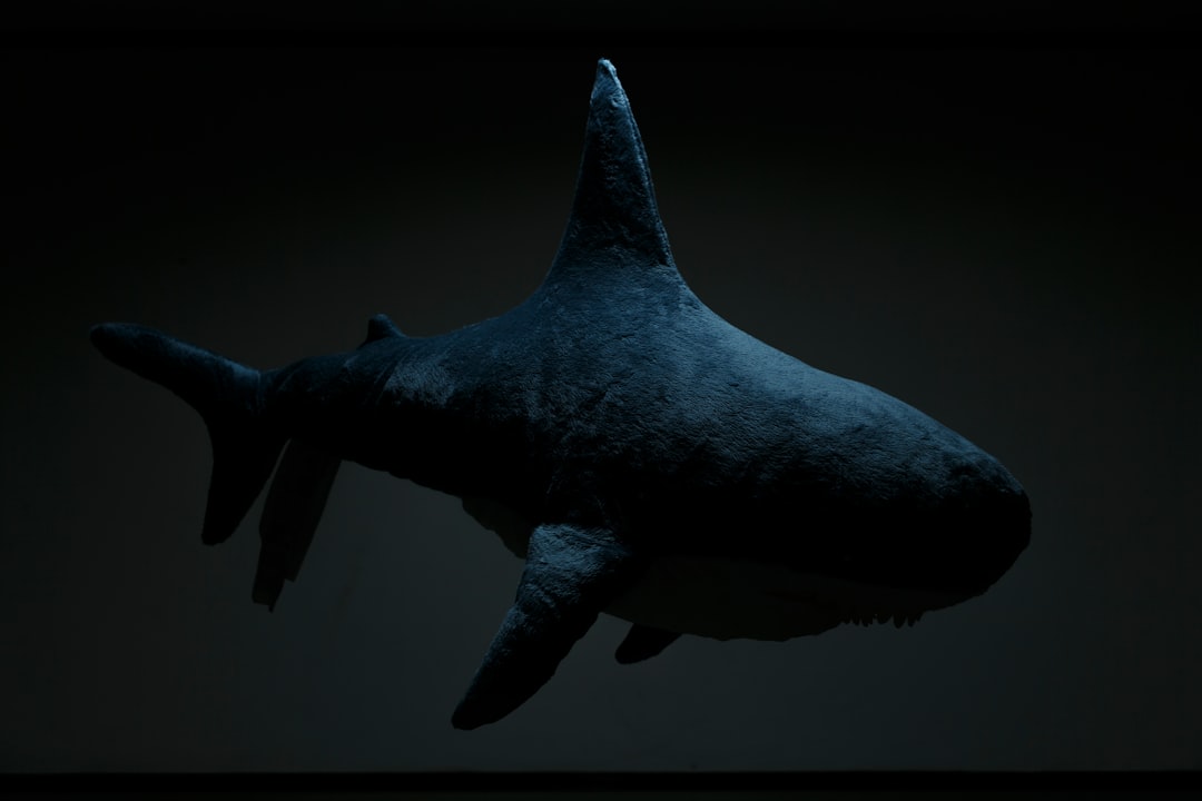 The Future of Volcanic Shark Research (Image Credits: Unsplash)