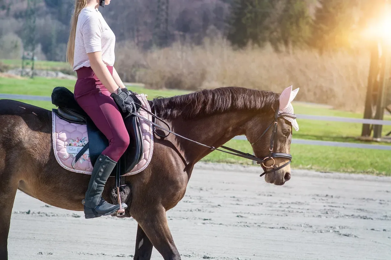 #4 - Explaining the Bit Before the Ride (Image Credits: Pixabay)