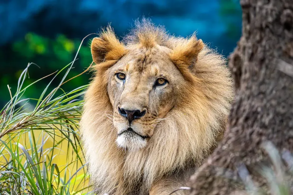 #5. Leo (July 23 – August 22): The Lion (Image Credits: Pexels)