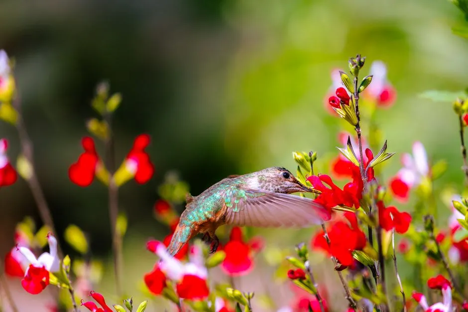 #4 - Climate Shifts Are Scrambling Their Schedules, and Your Yard Can Help or Hurt (Image Credits: Pexels)
