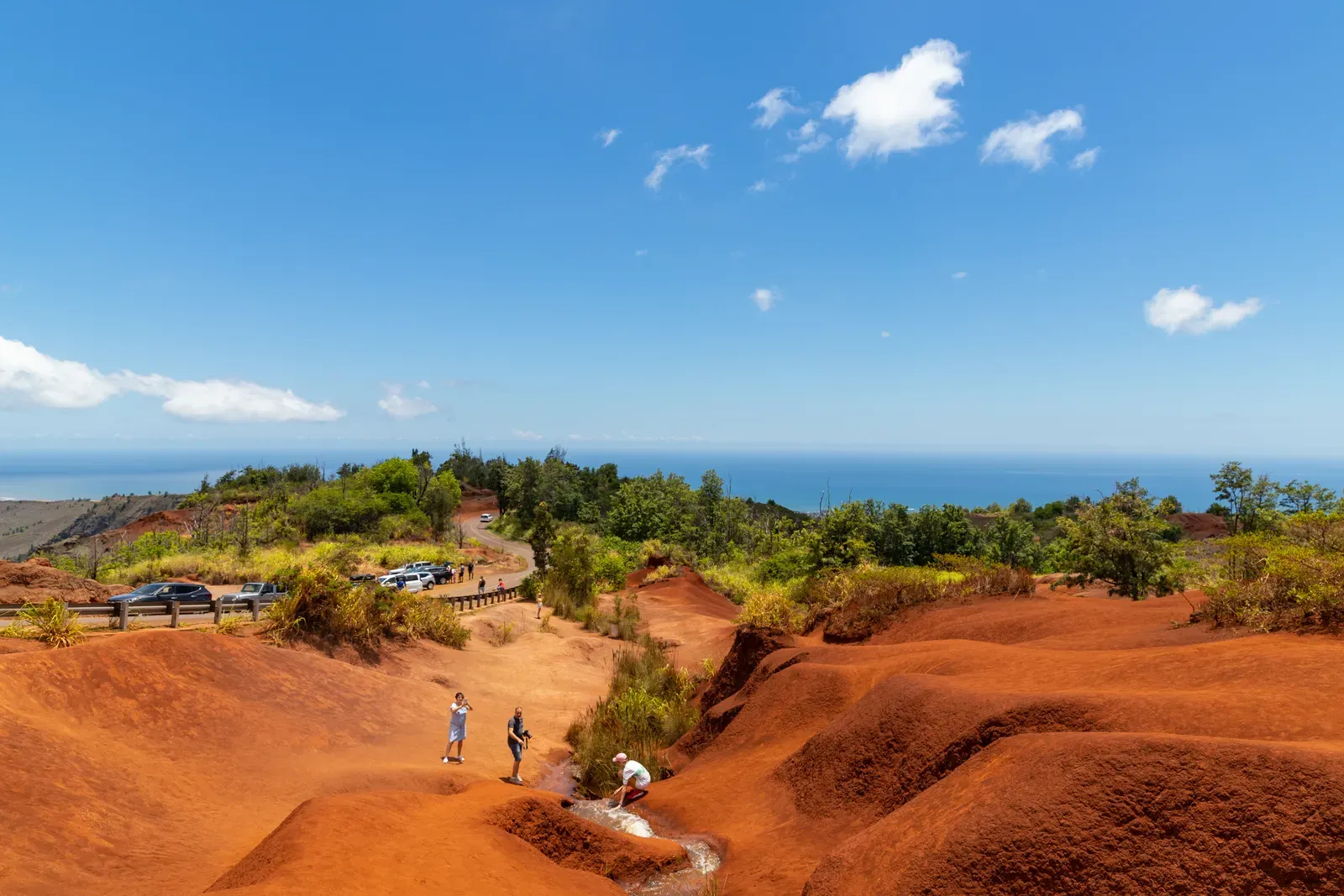 Waimea Canyon: The Grand Canyon of the Pacific (Image Credits: Wikimedia)