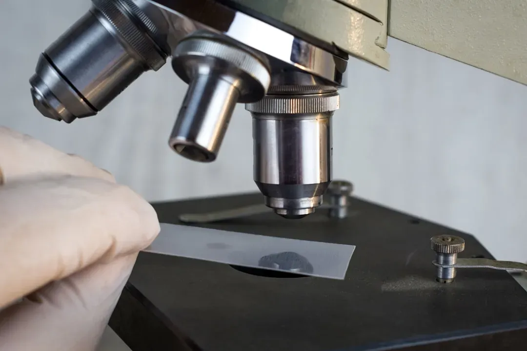 Meet the Scientist Who Wants to Add a New One (Image Credits: Unsplash)
